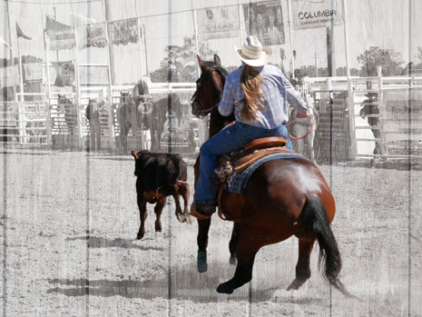 Image of a woman on a horse getting ready to rope a calf. This image is used as the Breakaway Roping feature image.