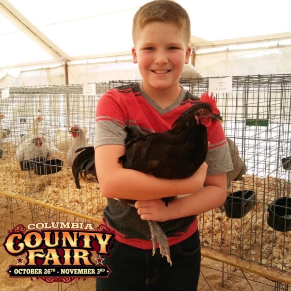 Livestock Exhibits Florida Gateway Fairgrounds formerly Columbia County Fairgrounds