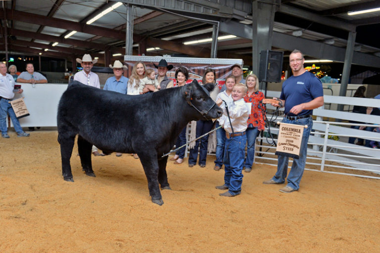 Livestock Exhibits Florida Gateway Fairgrounds formerly Columbia County Fairgrounds